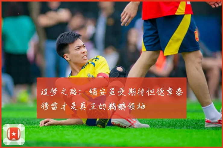 追梦之路：锡安虽受期待但德章泰穆雷才是真正的鹈鹕领袖
