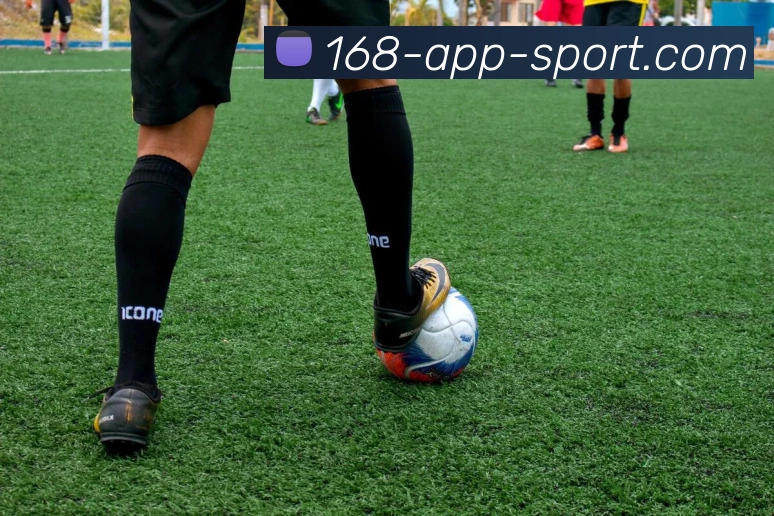 168体育APP 高清赛事图